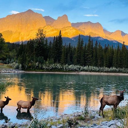 Unit #204 Cozy Mountain View 2Br In Canmore Downtown Kültér fotó